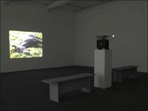 Running Thunder, 2007
