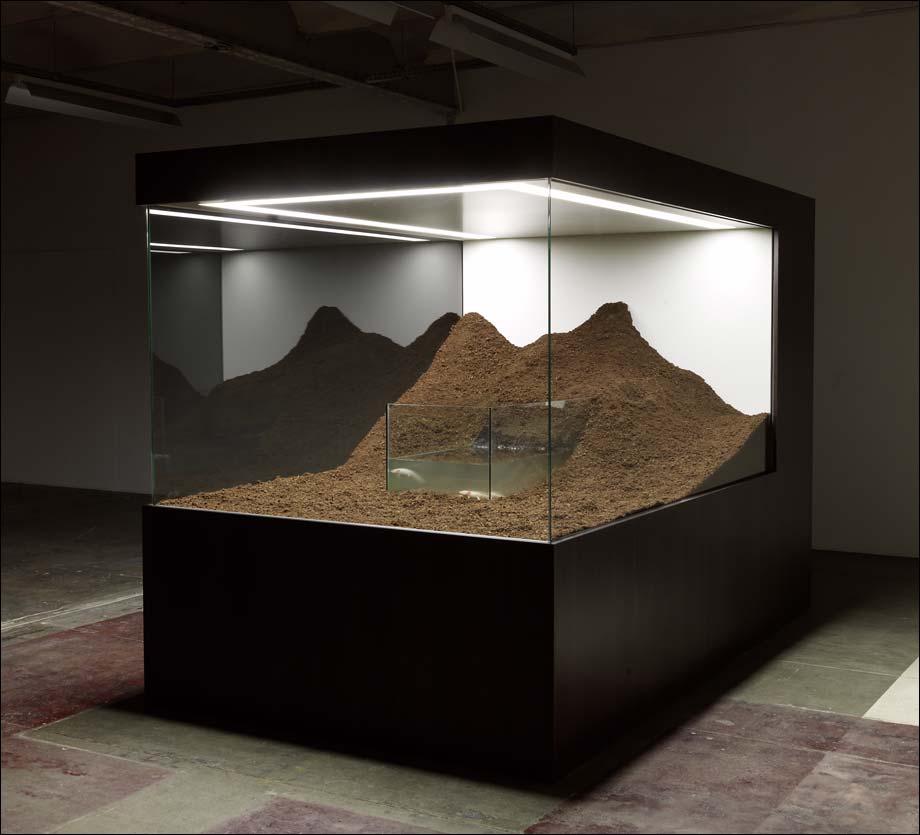Duchamp Glass Case Duchamp Glass Case
