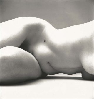 Nude No. 72, photo, Irving Penn