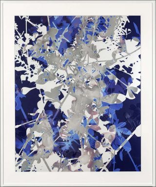 New flowers, Impression, James Welling