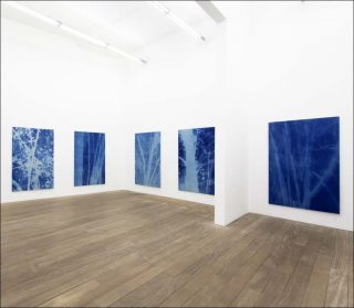 Forêts, Philippe Durand