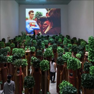 Candidate, installation, Taro Izumi