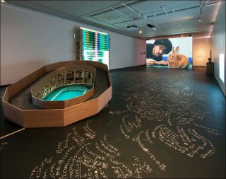 Installation, Taro Izumi