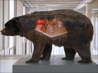 installation, Abraham Poincheval