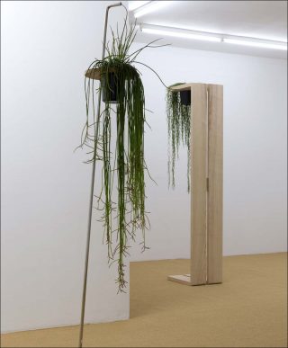 Charlotte 3, installation, Leonor Antunes