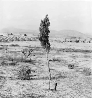 Fortuna, photo, Jürgen Nefzger