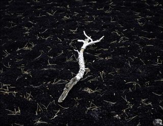 Etna, photo, Amaury Da Cunha