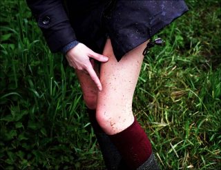 Tharoul, photo, Amaury Da Cunha