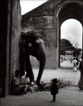 Thanjavur, photo, Françoise Nuñez