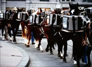 Ararat Express 2034, Frigo