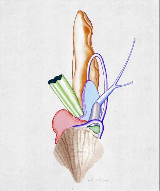 peinture, Guillaume Dégé