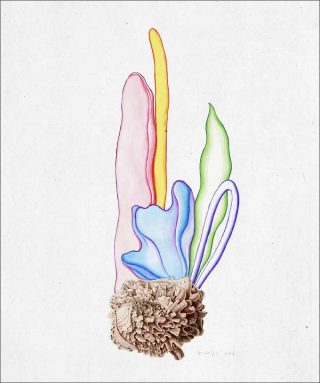 peinture, Guillaume Dégé