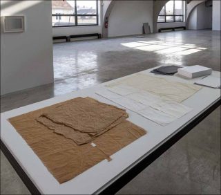 In the echoes of my room, Ane Mette Hol