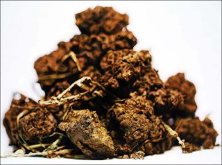 Tas de terre, peinture, Jean-Jacques Horvat