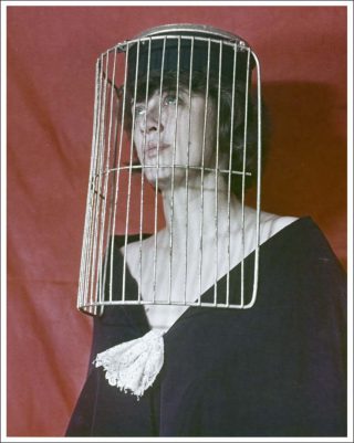 Catalogue de super-objets : super-confort pour super-personnes, photo, Vitaly Komar, Alexander Melamid