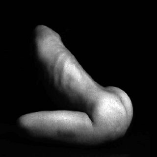 Laurent Goldring, vidéo