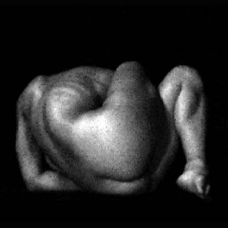 Laurent Goldring, vidéo