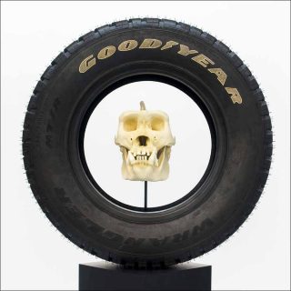 Memento mori, Installation, Théo Mercier