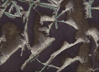 A carrier of action potentials, installation, Melissa Dubbin & Aaron S. Davidson