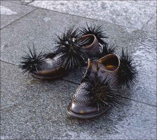 La longue traversée, photo, Thierry Fontaine