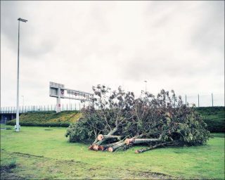 Eurotunnel arbres coupes, photo, William Gaye