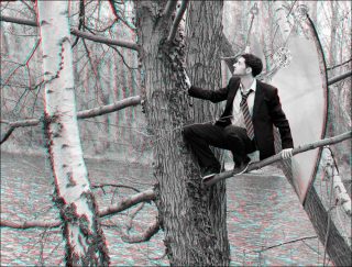 Dans les arbres, photo, Mireille Loup