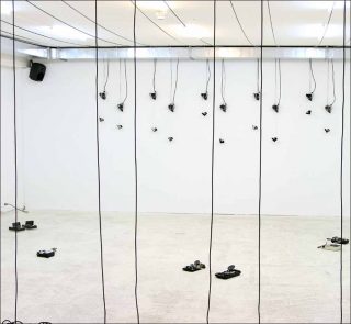 Schwarzwald, installation, Klaas Hübner