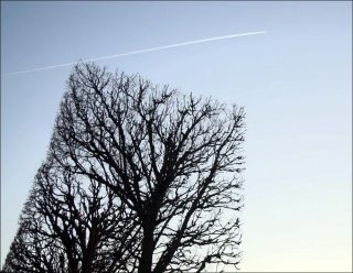 Géométrie, vidéo, Jocelyne Alloucherie