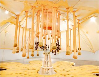 Flower Crystal Power, installation, Ernesto Neto