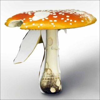 iant Triple Mushroom Amanita muscaria, Carsten Hölle
