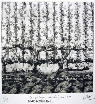 Le potager du roi, héliogravure, Jean Rault