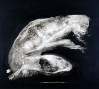 peinture, Johan Van Mullem