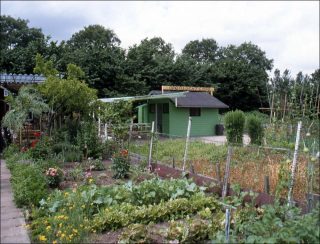 An open air cafe in the allotment gardens, Lara Almarcegui