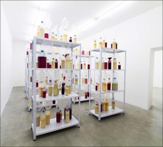 Prohibition, installation, Nicolas Daubanes