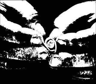 Crazy diamond, vidéo, Nicolas Daubanes