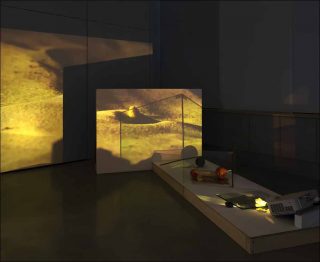 Remote Viewing, installation, Laura Gozlan