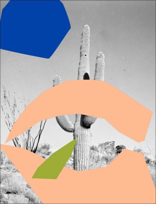 Desert Song, collage, Félicia Atkinson