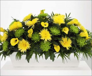 Fallible witnesses, Kapwani Kiwanga