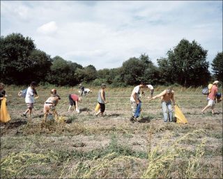 La récolte des pommes de terre aux Rosiers, Photo, Bruno Serralongue