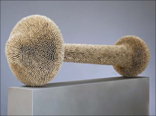 Mecanica Aptica, Cristiano Salineros
