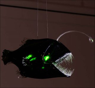 Poisson des Abysses, Yves Chaudouët