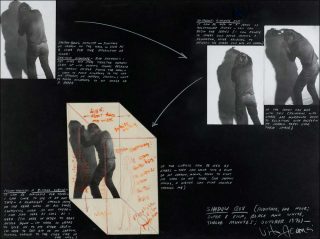 Shadow Box, photo, Vito Acconci