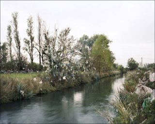 Urpar, à proximité de la décharge des Gadoues, La Crau, Bouches-du‐Rhône, photo, Jürgen Nefzger