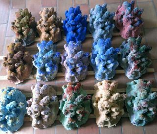 Diva, Mathias Tujague