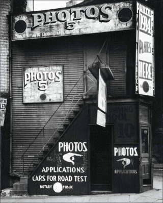 License Photo Studio, photo, Walker Evans