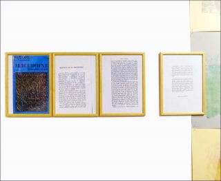 Diana Righini, 1978-2011