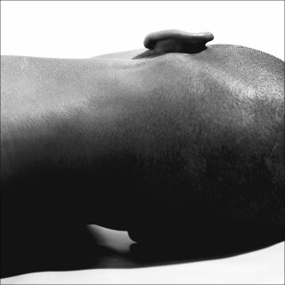 L’enfance a perdu sa route #1, photo, Marc-Antoine Serra