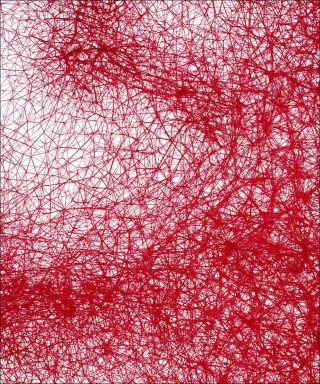 Under the Skin, tableau, Chiharu Shiota