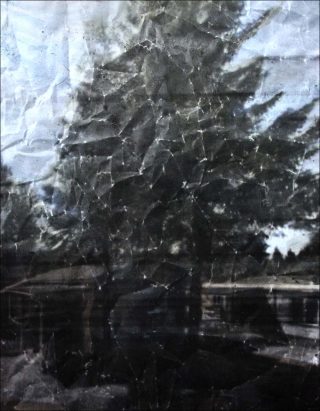 Aphakie II, peinture, Eva Nielsen