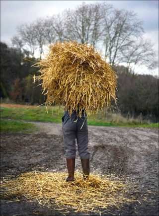 Sans titre, photo, Georges Pacheco
